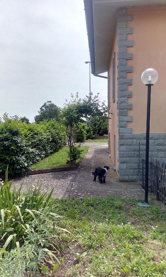 B&B Molin Del Topo Monte San Savino Esterno foto